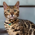 Load image into Gallery viewer, The Wonderful Wizard of Oz-Pet Pearl Necklace Collar - WizzPaw