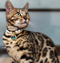 Load image into Gallery viewer, The Wonderful Wizard of Oz-Pet Pearl Necklace Collar - WizzPaw
