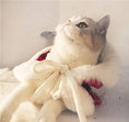 Load image into Gallery viewer, Thickened Pet Cloak - Frozen Fantasy - WizzPaw