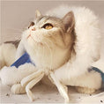 Load image into Gallery viewer, Thickened Pet Cloak - Frozen Fantasy - WizzPaw