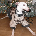 Load image into Gallery viewer, Three-Color Plaid Wool Pet Vest - WizzPaw