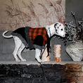 Load image into Gallery viewer, Three-Color Plaid Wool Pet Vest - WizzPaw