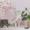 Load image into Gallery viewer, Traditional Chinese Pet Hair Clip - Four Beauties - WizzPaw