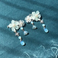 Load image into Gallery viewer, Traditional Chinese Pet Hair Clip - Four Beauties - WizzPaw