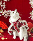 Load image into Gallery viewer, Traditional Chinese-style Pet Cloak - WizzPaw