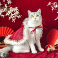 Load image into Gallery viewer, Traditional Chinese-style Pet Cloak - WizzPaw