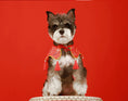 Load image into Gallery viewer, Traditional Chinese-style pet cloud shoulder - WizzPaw