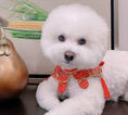 Load image into Gallery viewer, Traditional Chinese-style pet cloud shoulder - WizzPaw