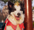 Load image into Gallery viewer, Traditional Chinese-style pet cloud shoulder - WizzPaw