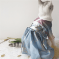 Load image into Gallery viewer, Traditional Chinese Style Pet Hanfu Dress - Lychee - WizzPaw