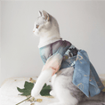 Load image into Gallery viewer, Traditional Chinese Style Pet Hanfu Dress - Lychee - WizzPaw