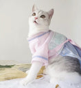 Load image into Gallery viewer, Traditional Chinese Style Pet Hanfu Dress - Mountain and Field - WizzPaw