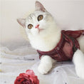 Load image into Gallery viewer, Traditional Chinese Style Pet Hanfu Dress - Peach - WizzPaw
