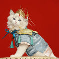 Load image into Gallery viewer, Traditional Chinese-style Pet Hanfu - WizzPaw