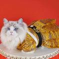 Load image into Gallery viewer, Traditional Chinese-style pet Ming Dynasty flying fish outfit - WizzPaw