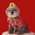 Load image into Gallery viewer, Traditional Chinese-style pet Ming Dynasty flying fish outfit - WizzPaw