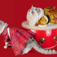 Load image into Gallery viewer, Traditional Chinese-style pet Ming Dynasty flying fish outfit - WizzPaw