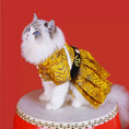 Load image into Gallery viewer, Traditional Chinese-style pet Ming Dynasty flying fish outfit - WizzPaw