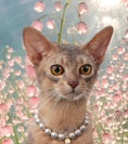 Load image into Gallery viewer, Wind Chime-Pet Pearl Necklace Collar - WizzPaw