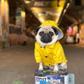 Load image into Gallery viewer, Wind/Waterproof, British-style Retro Thickened Dog Raincoat - WizzPaw