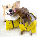 Load image into Gallery viewer, Wind/Waterproof, British-style Retro Thickened Dog Raincoat - WizzPaw