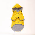 Load image into Gallery viewer, (Yellow)