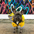 Load image into Gallery viewer, Wind/Waterproof, British-style Retro Thickened Dog Raincoat - WizzPaw