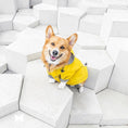 Load image into Gallery viewer, Wind/Waterproof, British-style Retro Thickened Dog Raincoat - WizzPaw
