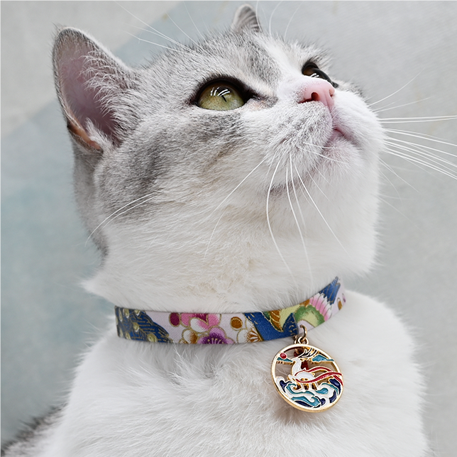 Discover the Perfect Cat Collars for Your Feline Friends