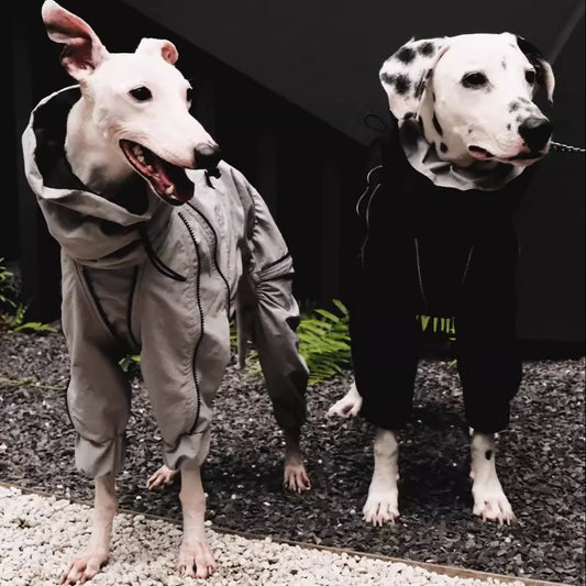 Pet Raincoats: Keep Your Furry Friend Stylish and Dry in the Rain