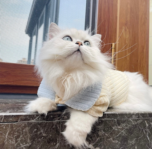 Pet Collared Knit Cardigan