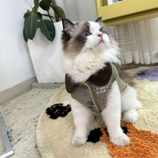 Denim Plush Pet Coat