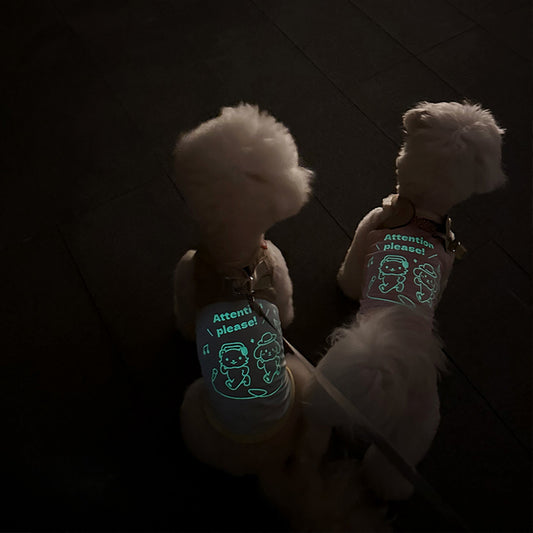 Pet Glow-in-the-Dark Straps