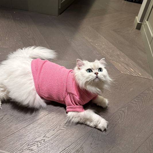 Pet Knitted Base Layer Turtleneck