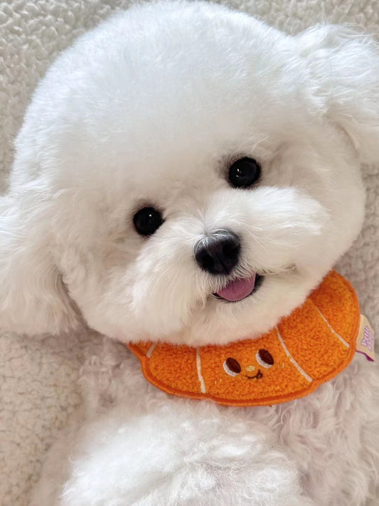 Pet Croissant Bandana