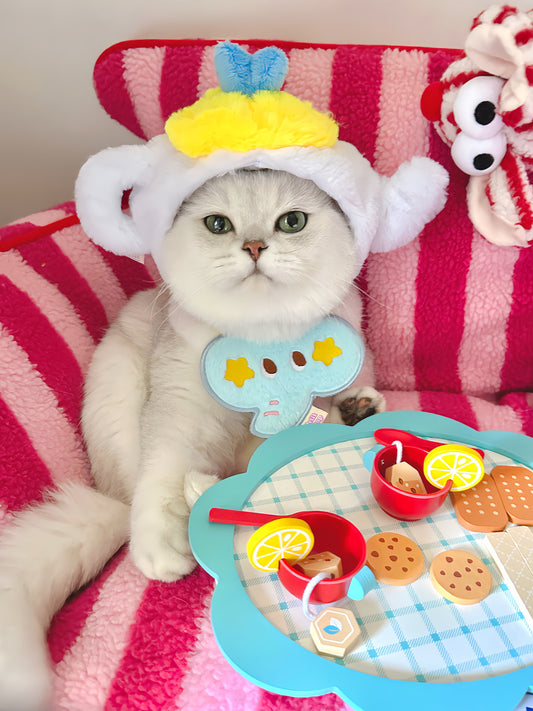 Pet teapot plush hood