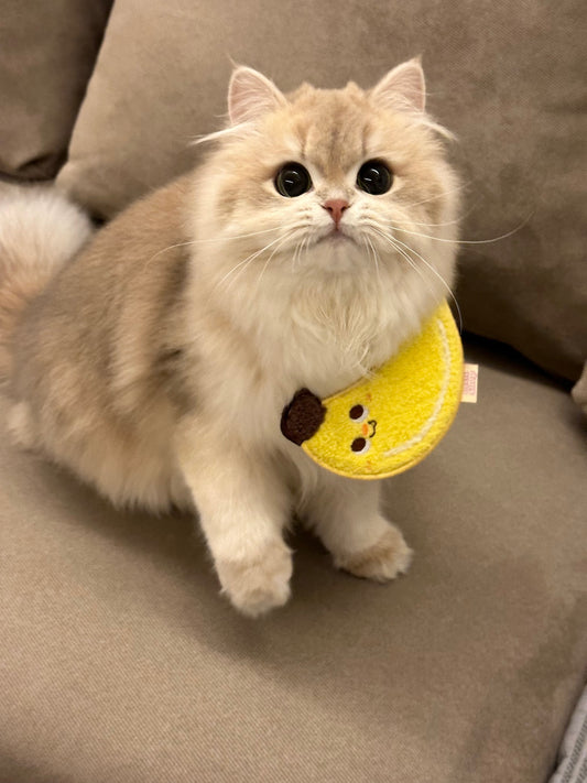 Pet Banana Bandana