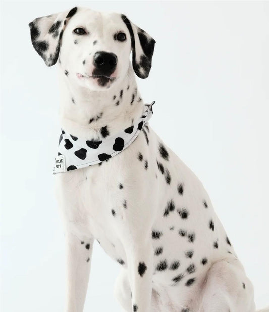 Pet Dalmatian Series Double-Sided Cotton Bandana