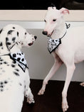 Load image into Gallery viewer, Pet Dalmatian Series Double-Sided Cotton Drool Cloth
