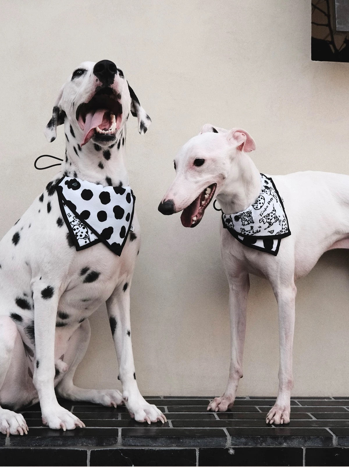 Pet Dalmatian Series Double-Sided Cotton Drool Cloth