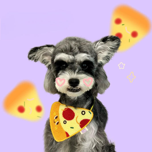 Pet Pizza Bandana