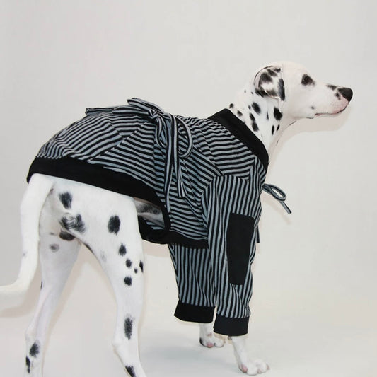 Pet Warm Striped Robe