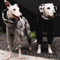 Load image into Gallery viewer, Pet High-Collar Waterproof Raincoat and Windbreaker
