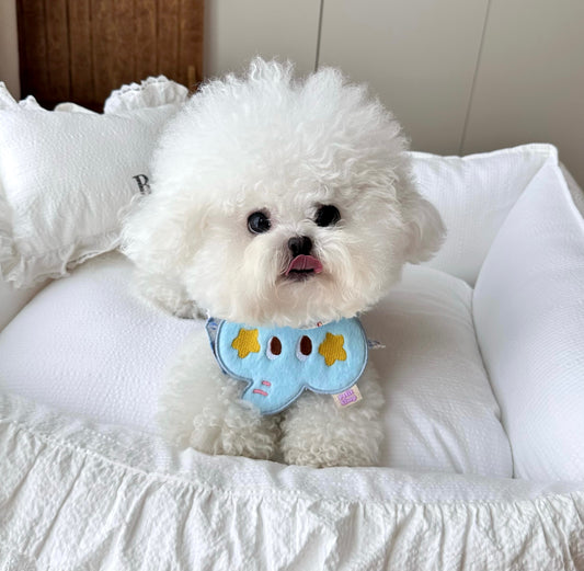 Pet Elephant Bandana-Blue