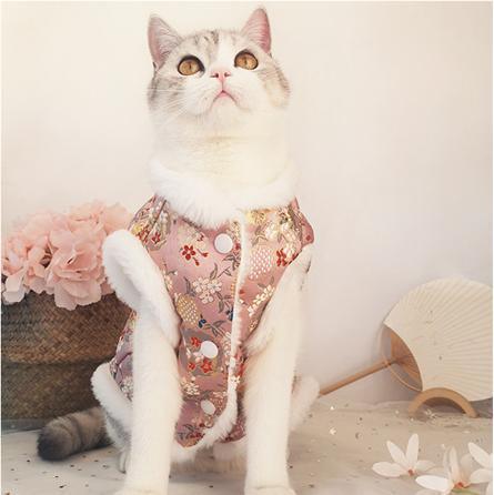 Chinese-Style Thickened Pet Tang Suit - WizzPaw