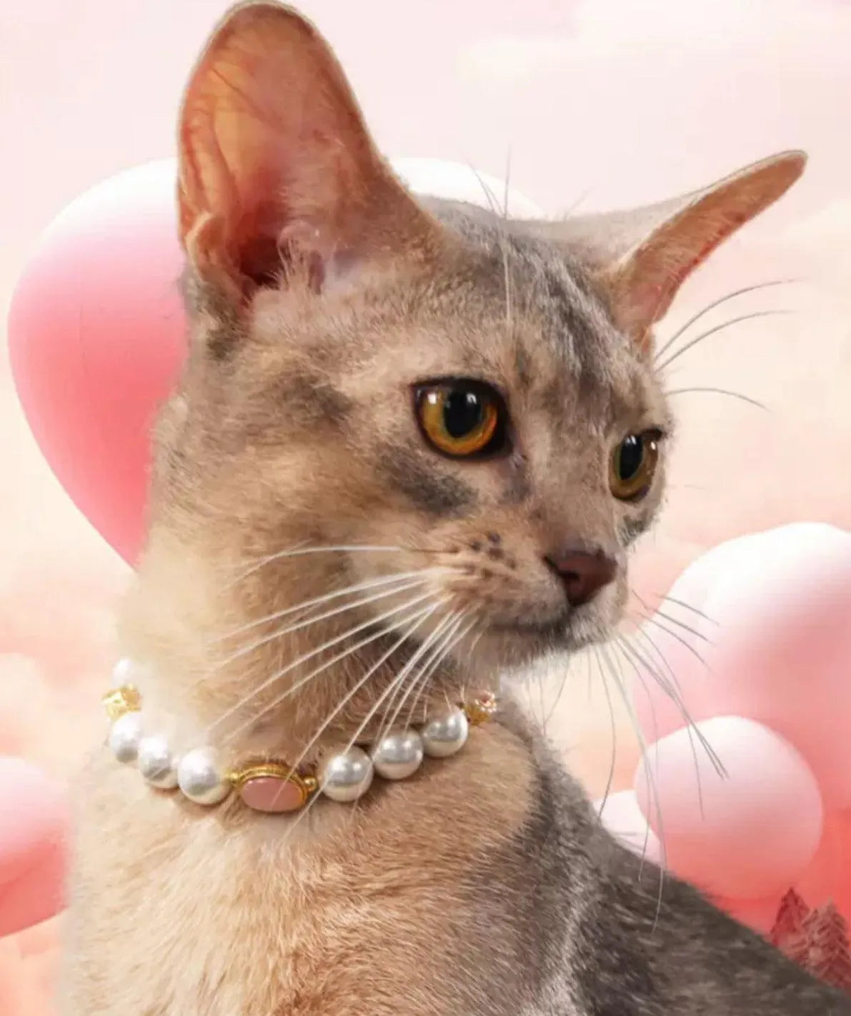 Confession Balloon-Pet Pearl Necklace Collar - WizzPaw