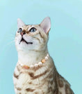 Charger l'image dans la visionneuse de la galerie, Confession Balloon-Pet Pearl Necklace Collar - WizzPaw
