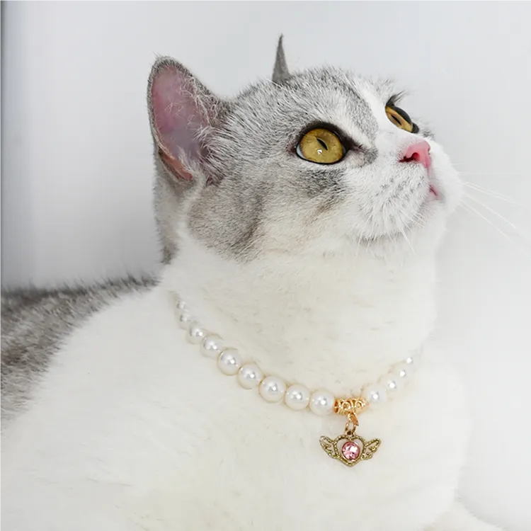 Heart-Pet Pearl Necklace Collar - WizzPaw