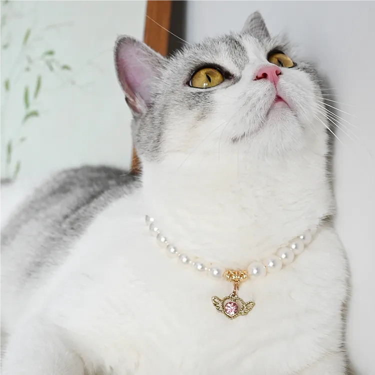 Heart-Pet Pearl Necklace Collar - WizzPaw