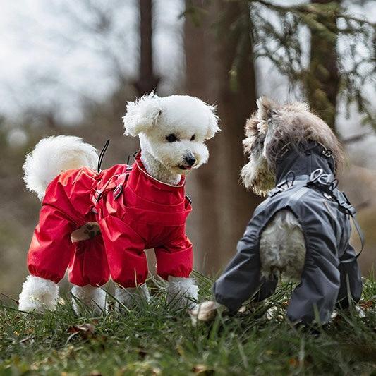 High-Collar Rainproof Dog Raincoat - WizzPaw